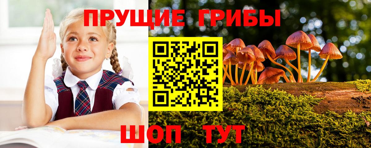 ГАШ  Вход с VPN  Асино  Меф МЯУ МЯУ   Кодеин  Кокаин  Марихуана  MDMA 