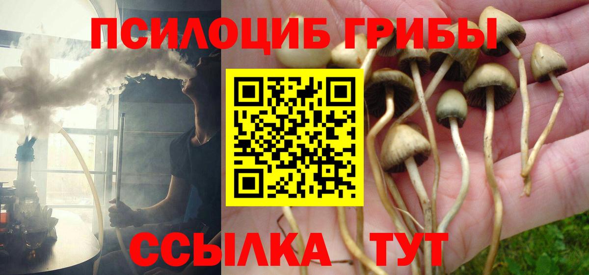 Галлюциногенные грибы мухоморы Асино